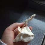 [모두드루와] 내가 만든 그지같은 <b>머랭</b>좀봐봐