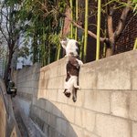 [댓글부탁해] 나 사진 꽤 찍는듯