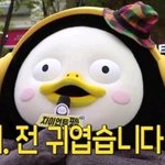 비추 단 한개도 안박히는 짤