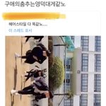 트위터 이거 본사람