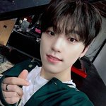 세븐틴 <b>디노</b> 영업글