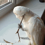 [NCT] 이번엔 툥이 모음