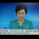 [19] 일본인들이 한국인까는건 사실 지들얘기가 많더라ㅋㅋ