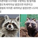 [댓글부탁해] <b>enfp</b>가 보는 intp