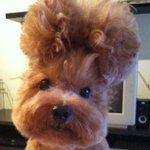 근데 mbti 특성 볼때마다 느끼는데