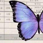 [댓글부탁해] 자사고 <b>재학</b>중인애들은 없냐