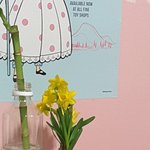 우리<b>집</b> <b>새</b>식구 볼 사람