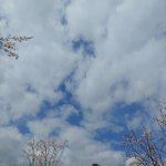 너네 나이<b>차</b> <b>몇</b> 살 까지 가능?