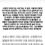[이것좀봐줘] 내 친구 인스타 봐바