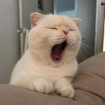 [댓글부탁해] ㅈㅂ 나 이관데 화학 해야 댈까???