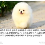 향수들 왤케 향이 다 똑같냐