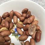 야 이거 칼로리 높아?