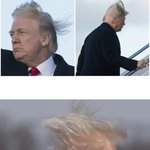 [댓글부탁해] 트럼프 <b>솜사탕</b>