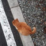 [NCT] 또잉이 모음