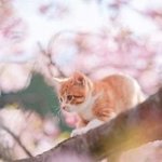돌 덕질 해보면서 해본 거 <b>추반</b>하자