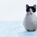 야 이거 <b>민폐</b>야 아니야??