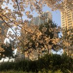 [드루와] 너네 가정<b>폭력</b> 당한 애 보면 어떤 생각 들어?