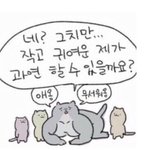 [댓글부탁해] 나 mbti 자꾸 까먹어