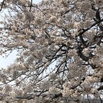 [19] 전남친하고 <b>진도</b>가 소문났어 무서워