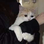 [댓글부탁해] 이렇게 꼭 잡을<b>구야</b>
