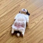 [NCT] 어<b>제자</b> 이태용