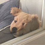 [추반] 틴트사기vs<b>섀도</b>사기