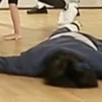 [NCT] 신고, 정화거리는 링크로가져오고 내용설명, <b>푸념</b>은 ㄴㄴ