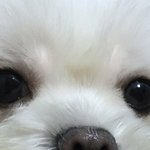 애들아 이제 <b>시체</b>빌런 없어졌나봥?