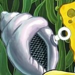 심심하니까 질문 받는다 나 마법의 <b>소라</b>고동 빙의함