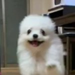 내 카톡프<b>사가</b> 제일 귀엽다 반박 안받음