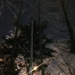 [드루와] <b>사회적</b>거리두기는 왜 있냐 ㅋㅋ