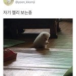 바디로션 향 추반해조