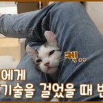 [드루와] 아 진짜 너무너무너무 귀여워 ㅠ❤