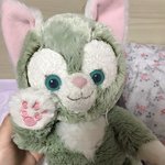 [드루와] 아이돌인형에 이어서 디즈니씨인형까지