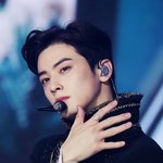 나 내 퍼컬 세부톤 <b>안거</b>같음