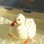 [댓글부탁해] <b>sns</b> 끊어본적 있는 사람