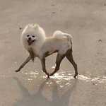 [19] <b>승호</b>야 사랑해 진짜 좋아해~~~