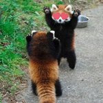 [댓글부탁해] 고3인데 <b>용돈</b> 이<b>정도</b>면 적당해??