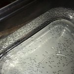 저거 다 공기<b>방울</b>이잖아