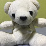 [드루와] 곰돌이 <b>흑화</b>시켜봄