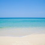 [댓글부탁해] 내가 좀 특이한가 나만 그래?