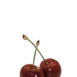[댓글부탁해] ㅁㅊ 유튜버 댓글모음 어떻게 봄???