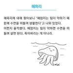 남자들끼리