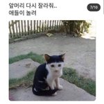 [댓글부탁해] 앞<b>모리</b> 잘못 자른 먐미