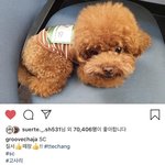 [EXO] 비비 이니고 <b>고사리</b>인가바