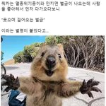 [말랑] 나 제발 스위치 <b>사</b><b>줄</b>사람..