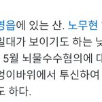 고소해보라노가 왜 일베야