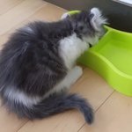 [19] 그녀의 치명적인 <b>뒤태</b>