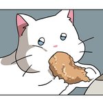 비엘 <b>처돌</b>이들아 최애작 추천 좀