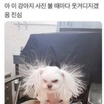 [댓글부탁해] 오렌즈